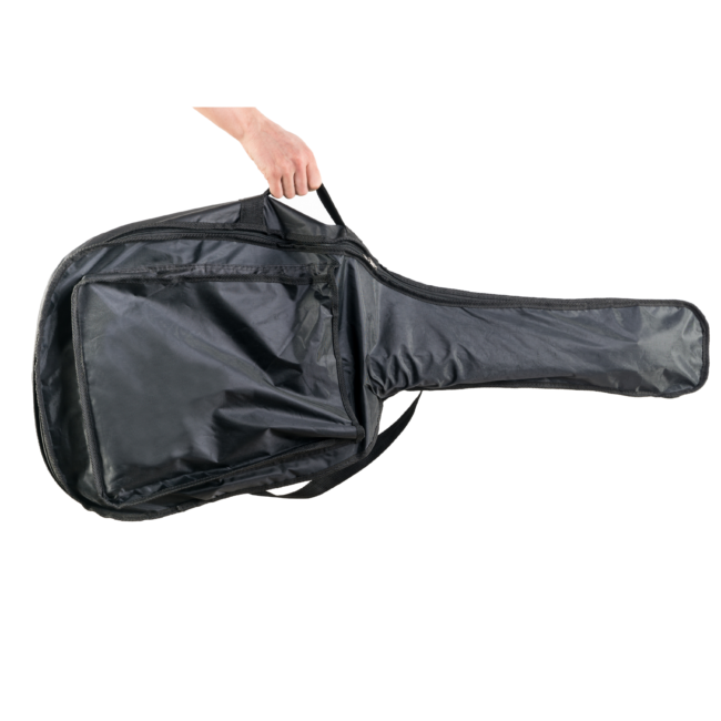 guitar case