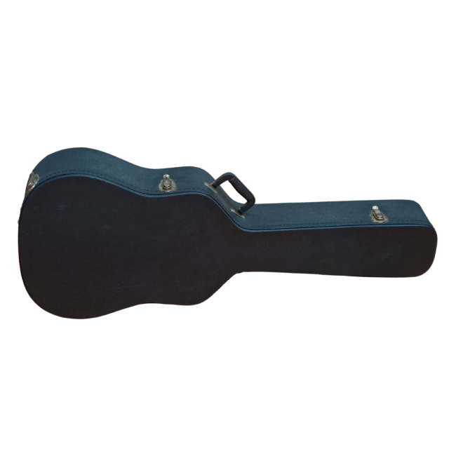 guitar case
