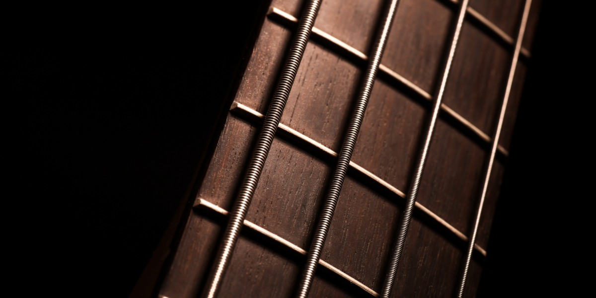 guitar frets